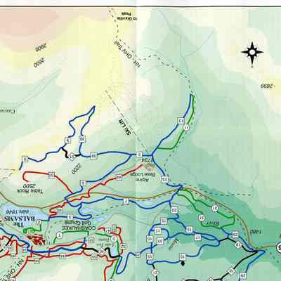 The Balsams Wilderness Trail Map and Guide