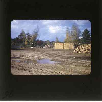 Woodpile - Kearsarge