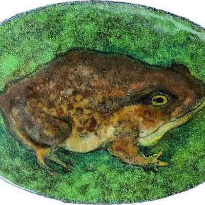 Enamel Frog