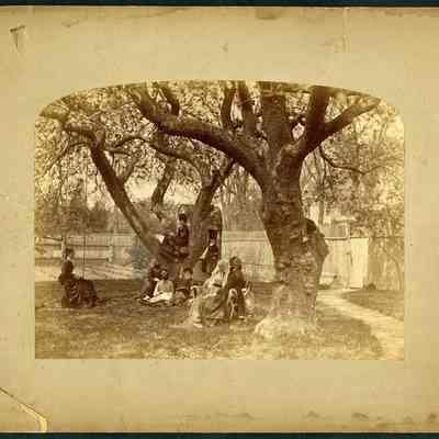 Women in Backyard