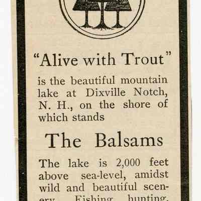 Alive with Trout
