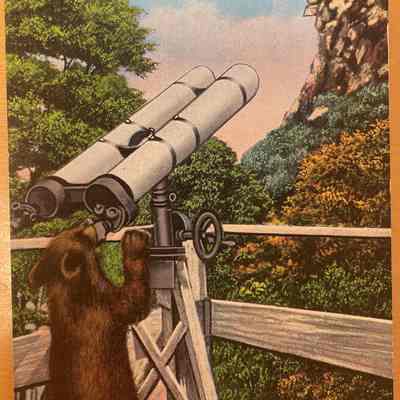 "I'm Having a Bear of a Time" Looking at the Old Man of the Mountains, White Mountains, N. H.