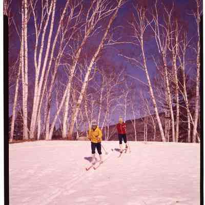 Cross Country Skiing Jackson, NH