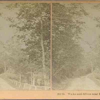 Walks and drives near Profile House White Mts.