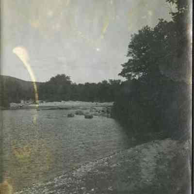 Shoreline View