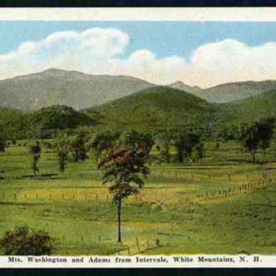 Mts. Washington and Adams from Intervale
