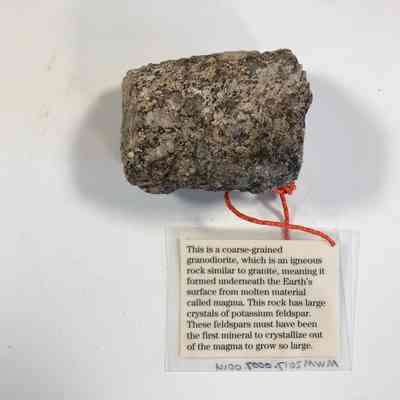 Kingsman Granodiorite Sample
