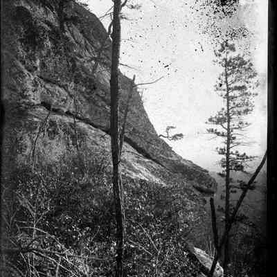 Boulder and Trees