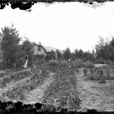 House with Garden