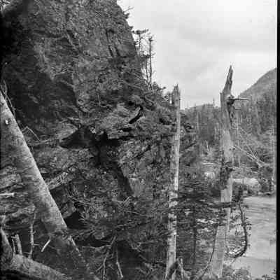 Boulder and Trees