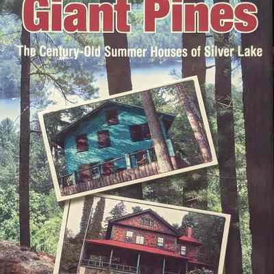 Among the Giant Pines
