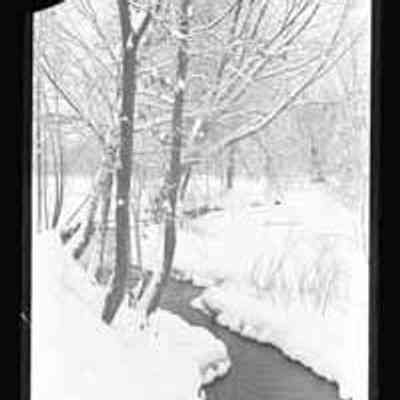Snow Scene, Trees, Brook