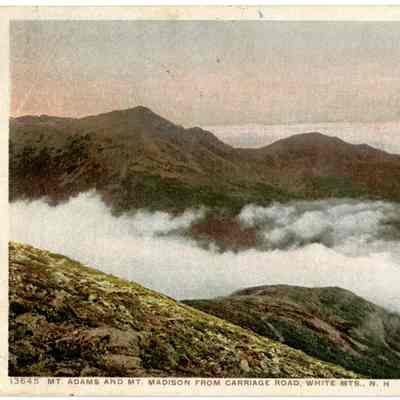13645 - MT. ADAMS AND MT. MADISON FROM CARRIAGE ROAD, WHITE MTS., N. H.