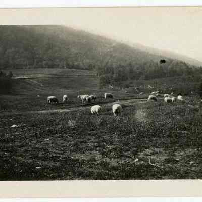 The Balsams Farmstead