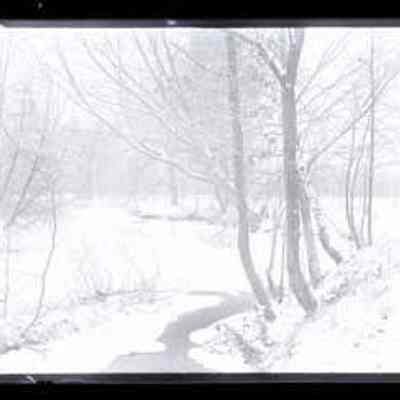 Winter Landscape