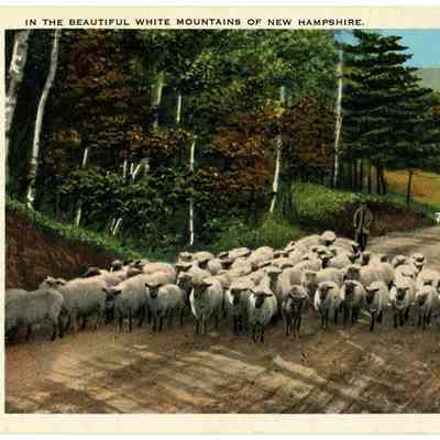 IN THE BEAUTIFUL WHITE MOUNTAINS OF NEW HAMPSHIRE. 63