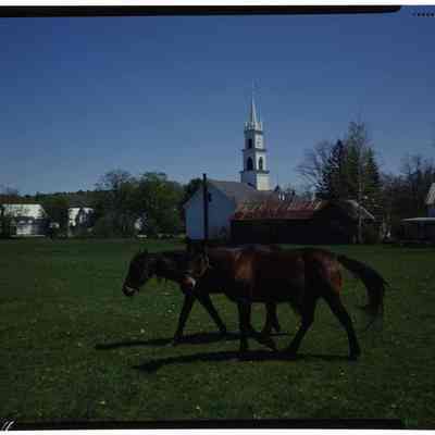 Horses & Church, Tamworth, NH