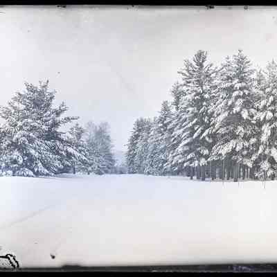 Snow Covered Road
