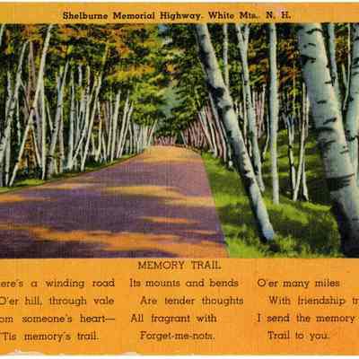 Shelburne Memorial Highway, White Mts., N. H.