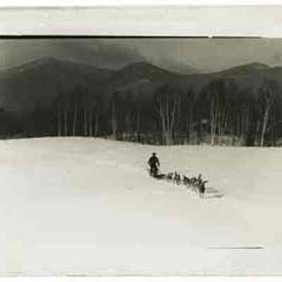 Dog Sled