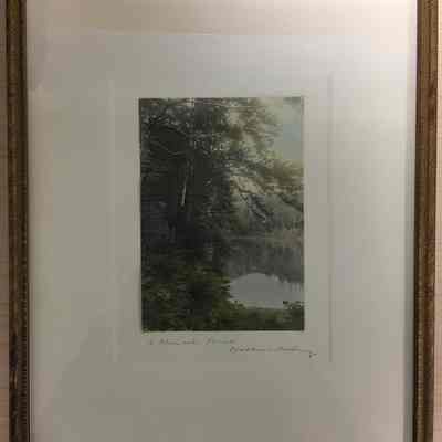 Lake Gloriette and Trees