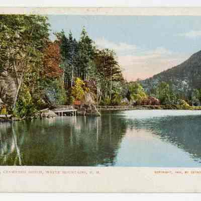 8691. Saco Lake, Cawford Notch, White Mountains, N.H.