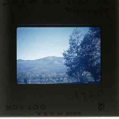 Sugar Hill View