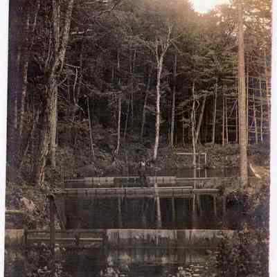 Fish Rearing Ponds