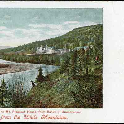 Greetings from the White Mountains