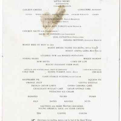 Mount Pleasant House Dinner Menu, 1901