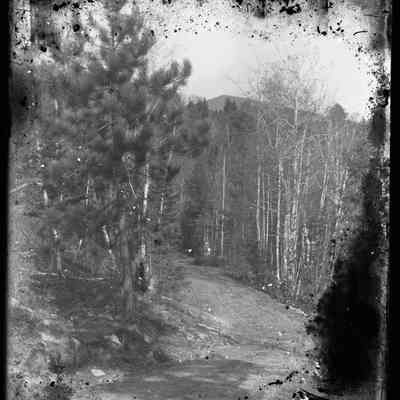 Dirt Road in the Mtns