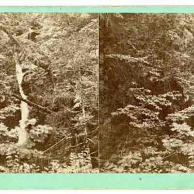 No. 5 Huntington Cascade, Dixville Notch N.H.