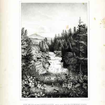 THE FALLS ON THE AMONOOSUCK, NEAR THE MT WASHINGTON HOUSE.