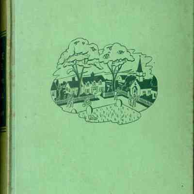 None but the brave; a novel of recovery