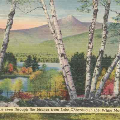 Mt Chocorua as seen through the birches from Lake Chocorua in the White Mountains NH