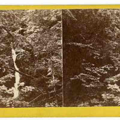 No. 5 Huntington Cascade Dixville Notch, N.H.