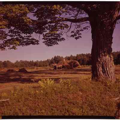 Haying, Ossipee, NH