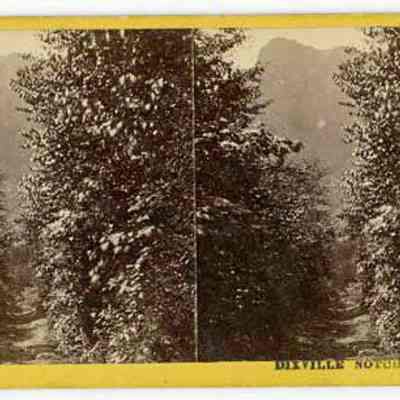 Dixville Notch, N.H.