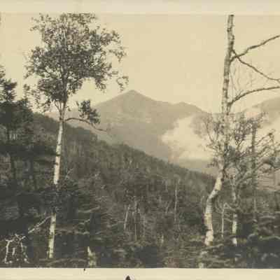 Mountain Through the Trees