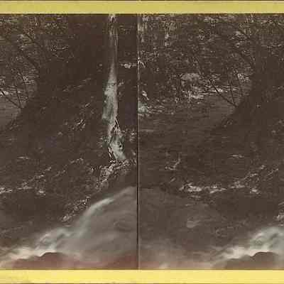 River Surrounded with Trees