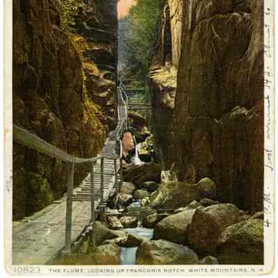 10823 THE FLUME, LOOKING UP FRANCONIA NOTCH, WHITE MOUNTAINS. N. H.