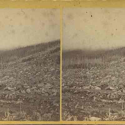 Mountain Landscape