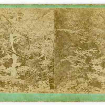 No. 5 Huntington Cascade, Dixville Notch N.H.
