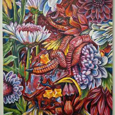 Flora and Fauna