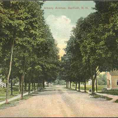 Albany Avenue Bartlett NH