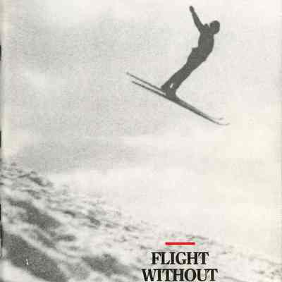 Flight Without Wings