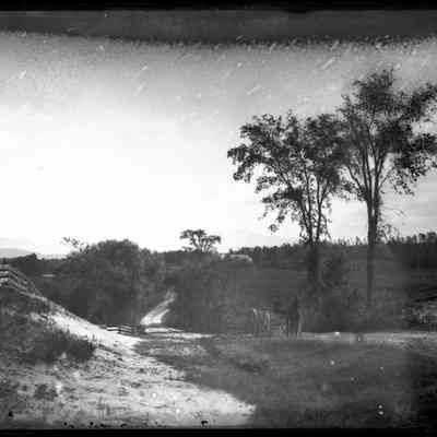 Horse Cart on a Dirt Road