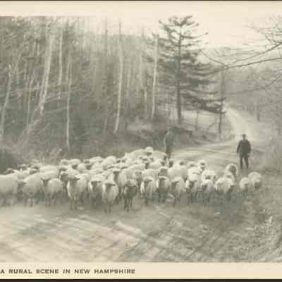 A rural scene in New Hampshire