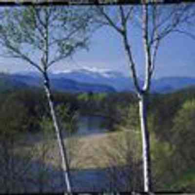 Mt. Washington from Conway, NH