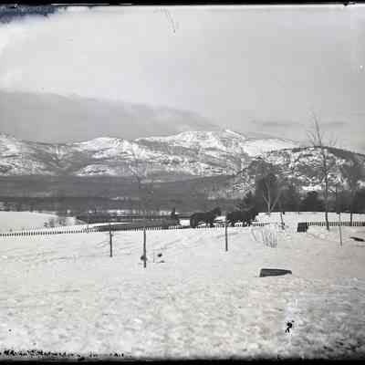 Horse Drawn Sled